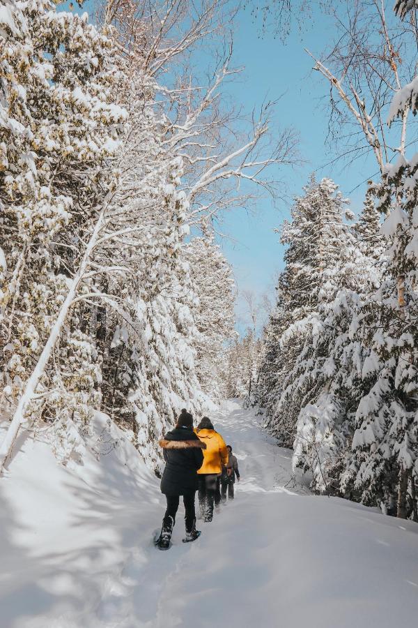 Вилла Les Sommets Charlevoix Петит-Ривьер-Сен-Франсуа Экстерьер фото